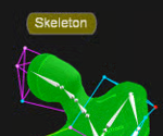An image of a Motive Skeleton solved without the Height Marker setting enabled. 